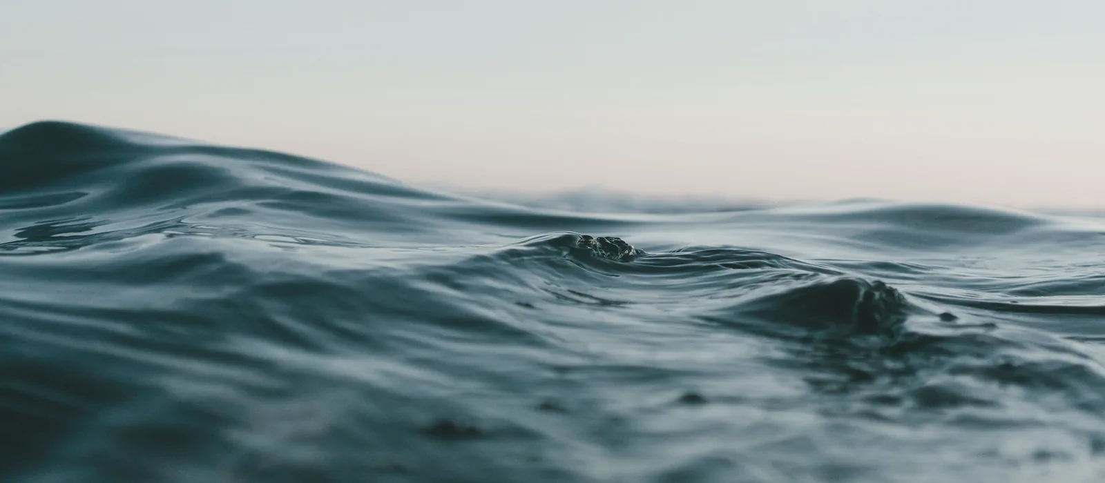 Close view of a slow, rolling swell on open water under a pale dawn sky